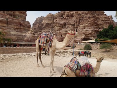 DSC02559 - Kopie.JPG